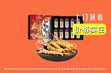 抚顺新宾县回收冬虫夏草